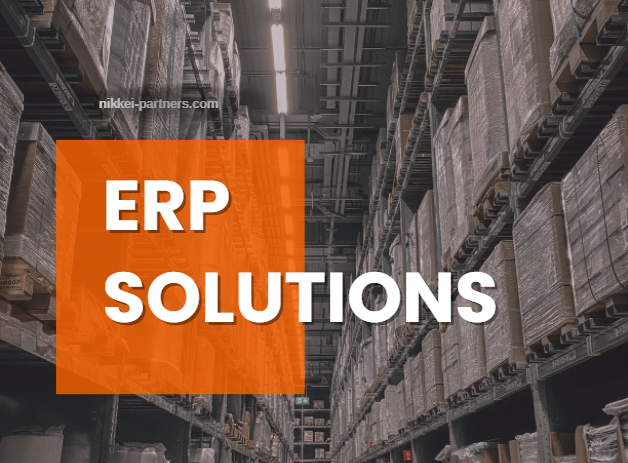 ERP_6